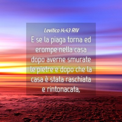 Picture 04 - Levitico 14:43 RIV - E se la piaga torna ed erompe nella casa dopo - Bible Verse Picture