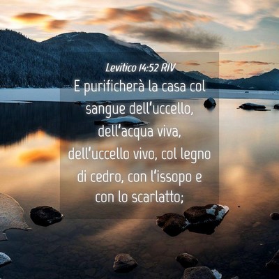 Picture 04 - Levitico 14:52 RIV - E purificherà la casa col sangue dell’uccello, - Bible Verse Picture