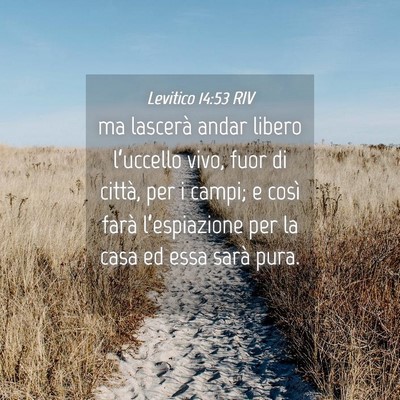 Picture 04 - Levitico 14:53 RIV - ma lascerà andar libero l’uccello vivo, fuor - Bible Verse Picture
