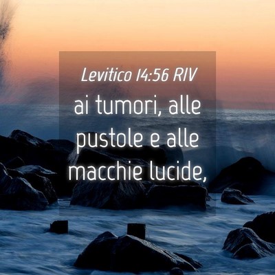 Picture 04 - Levitico 14:56 RIV - ai tumori, alle pustole e alle macchie - Bible Verse Picture