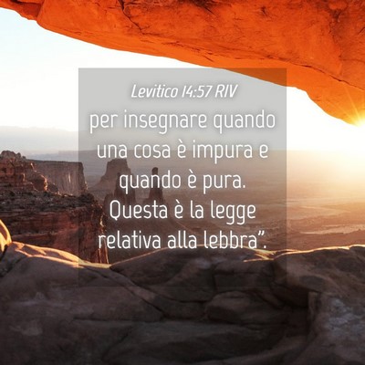Picture 04 - Levitico 14:57 RIV - per insegnare quando una cosa è impura e quando - Bible Verse Picture