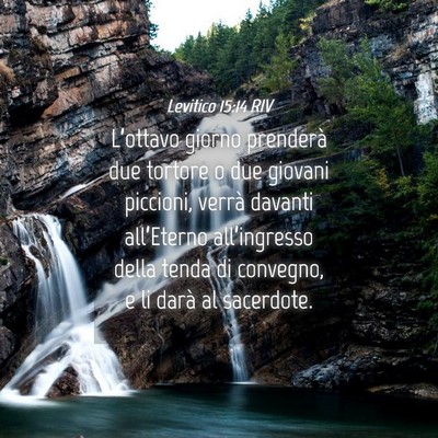 Picture 04 - Levitico 15:14 RIV - L’ottavo giorno prenderà due tortore o due - Bible Verse Picture