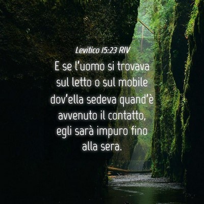 Picture 04 - Levitico 15:23 RIV - E se l’uomo si trovava sul letto o sul mobile - Bible Verse Picture
