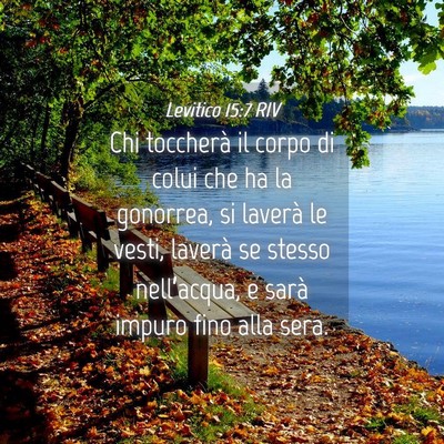 Picture 04 - Levitico 15:7 RIV - Chi toccherà il corpo di colui che ha la - Bible Verse Picture