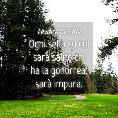 Picture 04 - Levitico 15:9 RIV - Ogni sella su cui sarà salito chi ha la - Bible Verse Picture