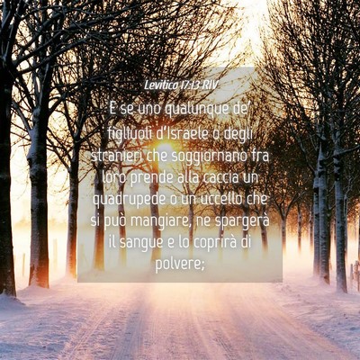 Picture 04 - Levitico 17:13 RIV - E se uno qualunque de’ figliuoli d’Israele o - Bible Verse Picture