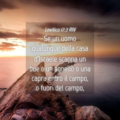 Picture 04 - Levitico 17:3 RIV - Se un uomo qualunque della casa d’Israele - Bible Verse Picture