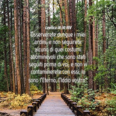 Picture 04 - Levitico 18:30 RIV - Osserverete dunque i miei ordini, e non seguirete - Bible Verse Picture