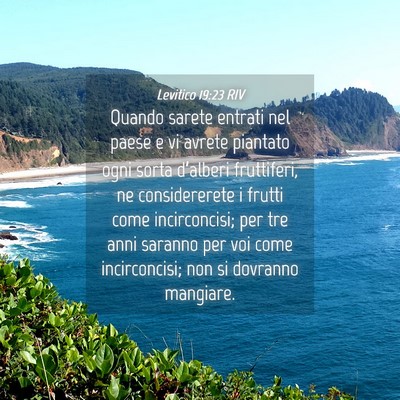 Picture 04 - Levitico 19:23 RIV - Quando sarete entrati nel paese e vi avrete - Bible Verse Picture