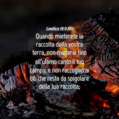Picture 04 - Levitico 19:9 RIV - Quando mieterete la raccolta della vostra terra, - Bible Verse Picture