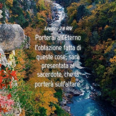 Picture 04 - Levitico 2:8 RIV - Porterai all’Eterno l’oblazione fatta di - Bible Verse Picture