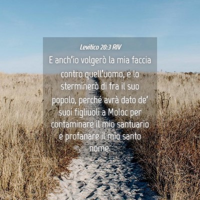 Picture 04 - Levitico 20:3 RIV - E anch’io volgerò la mia faccia contro - Bible Verse Picture