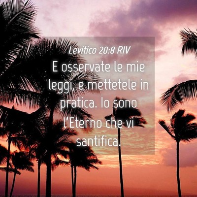 Picture 04 - Levitico 20:8 RIV - E osservate le mie leggi, e mettetele in pratica. - Bible Verse Picture