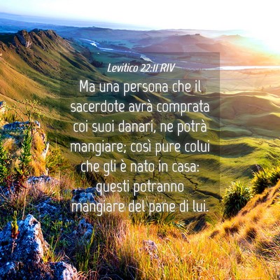 Picture 04 - Levitico 22:11 RIV - Ma una persona che il sacerdote avrà comprata - Bible Verse Picture