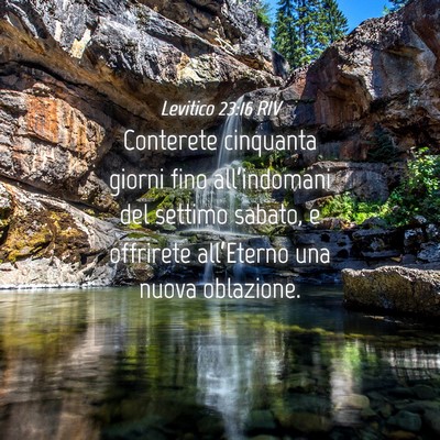 Picture 04 - Levitico 23:16 RIV - Conterete cinquanta giorni fino all’indomani - Bible Verse Picture
