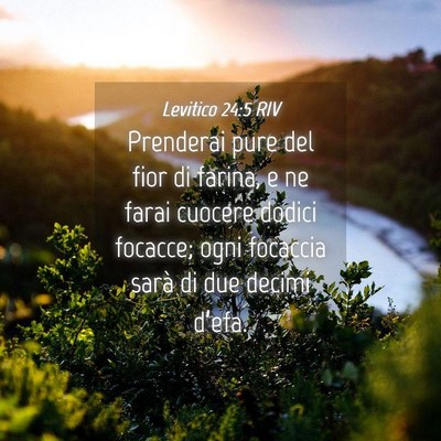Picture 04 - Levitico 24:5 RIV - Prenderai pure del fior di farina, e ne farai - Bible Verse Picture