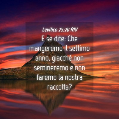 Picture 04 - Levitico 25:20 RIV - E se dite: Che mangeremo il settimo anno, - Bible Verse Picture