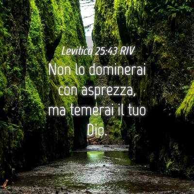 Picture 04 - Levitico 25:43 RIV - Non lo dominerai con asprezza, ma temerai il tuo - Bible Verse Picture