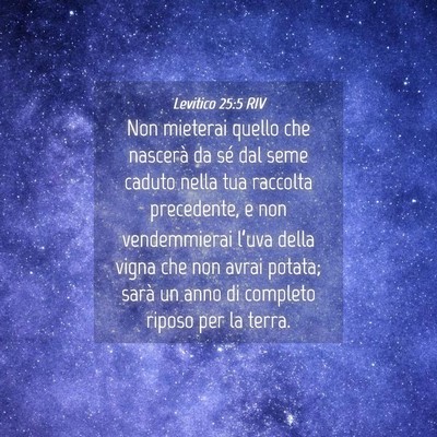 Picture 04 - Levitico 25:5 RIV - Non mieterai quello che nascerà da sé dal seme - Bible Verse Picture