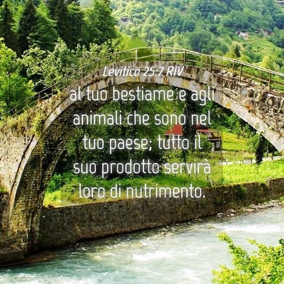 Picture 04 - Levitico 25:7 RIV - al tuo bestiame e agli animali che sono nel tuo - Bible Verse Picture