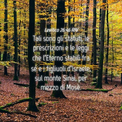 Picture 04 - Levitico 26:46 RIV - Tali sono gli statuti, le prescrizioni e le leggi - Bible Verse Picture
