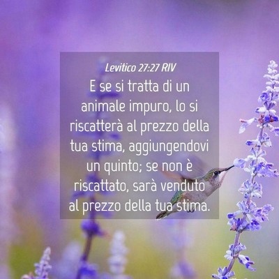 Picture 04 - Levitico 27:27 RIV - E se si tratta di un animale impuro, lo si - Bible Verse Picture