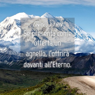 Picture 04 - Levitico 3:7 RIV - Se presenta come offerta un agnello, l’offrirà - Bible Verse Picture
