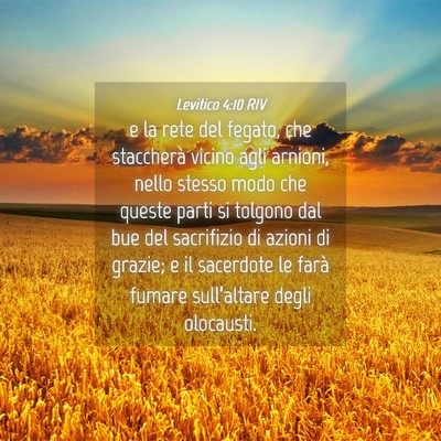 Picture 04 - Levitico 4:10 RIV - e la rete del fegato, che staccherà vicino agli - Bible Verse Picture