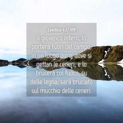 Picture 04 - Levitico 4:12 RIV - il giovenco intero, lo porterà fuori del campo, - Bible Verse Picture