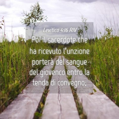 Picture 04 - Levitico 4:16 RIV - Poi il sacerdote che ha ricevuto l’unzione - Bible Verse Picture