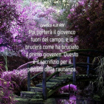 Picture 04 - Levitico 4:21 RIV - Poi porterà il giovenco fuori del campo, e lo - Bible Verse Picture