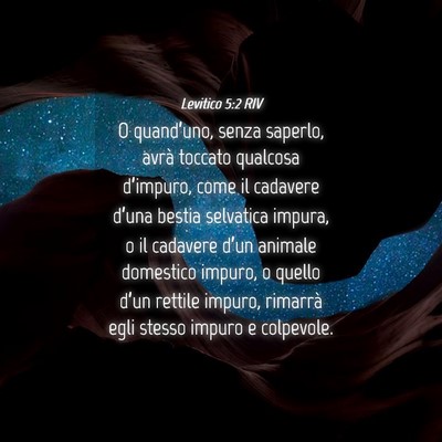 Picture 04 - Levitico 5:2 RIV - O quand’uno, senza saperlo, avrà toccato - Bible Verse Picture