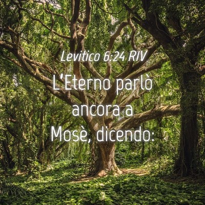 Picture 04 - Levitico 6:24 RIV - L’Eterno parlò ancora a Mosè, - Bible Verse Picture