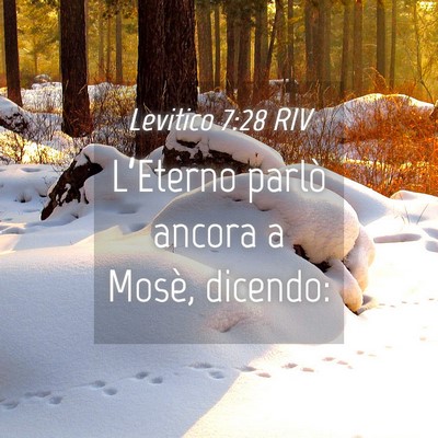 Picture 04 - Levitico 7:28 RIV - L’Eterno parlò ancora a Mosè, - Bible Verse Picture