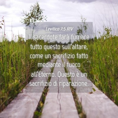 Picture 04 - Levitico 7:5 RIV - Il sacerdote farà fumare tutto questo - Bible Verse Picture