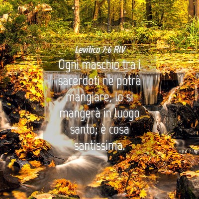Picture 04 - Levitico 7:6 RIV - Ogni maschio tra i sacerdoti ne potrà mangiare; - Bible Verse Picture