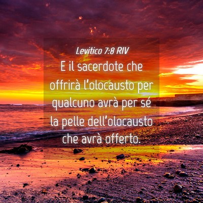 Picture 04 - Levitico 7:8 RIV - E il sacerdote che offrirà l’olocausto per - Bible Verse Picture
