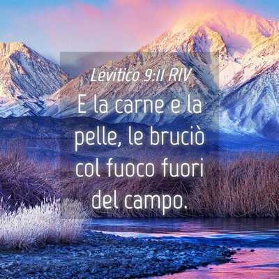 Picture 04 - Levitico 9:11 RIV - E la carne e la pelle, le bruciò col fuoco fuori - Bible Verse Picture