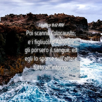 Picture 04 - Levitico 9:12 RIV - Poi scannò l’olocausto; e i figliuoli - Bible Verse Picture
