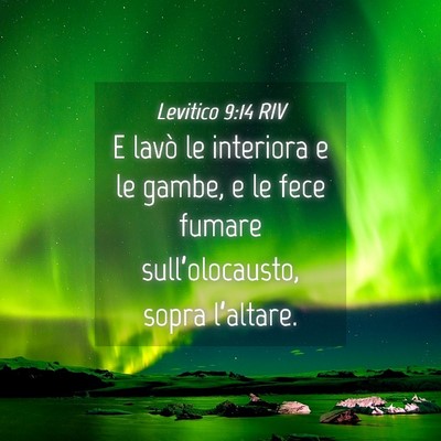 Picture 04 - Levitico 9:14 RIV - E lavò le interiora e le gambe, e le fece fumare - Bible Verse Picture