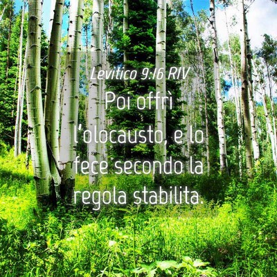 Picture 04 - Levitico 9:16 RIV - Poi offrì l’olocausto, e lo fece secondo la - Bible Verse Picture