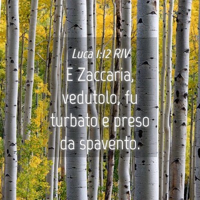 Picture 04 - Luca 1:12 RIV - E Zaccaria, vedutolo, fu turbato e preso da - Bible Verse Picture