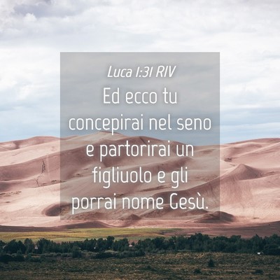 Picture 04 - Luca 1:31 RIV - Ed ecco tu concepirai nel seno e partorirai un - Bible Verse Picture
