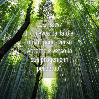 Picture 04 - Luca 1:55 RIV - di cui avea parlato ai nostri padri, verso Abramo - Bible Verse Picture