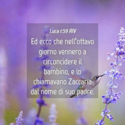 Picture 04 - Luca 1:59 RIV - Ed ecco che nell’ottavo giorno vennero a - Bible Verse Picture