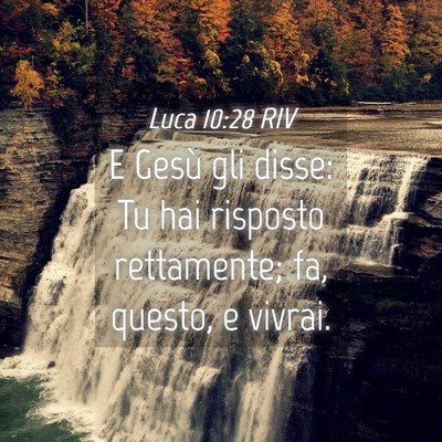 Picture 04 - Luca 10:28 RIV - E Gesù gli disse: Tu hai risposto rettamente; - Bible Verse Picture