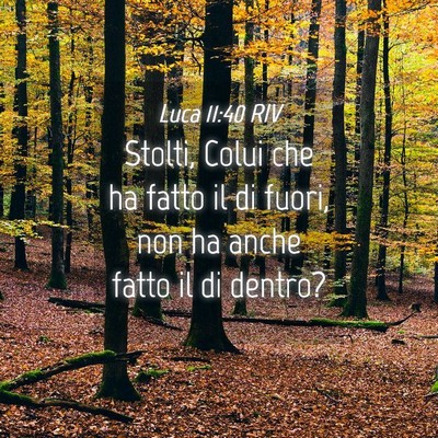 Picture 04 - Luca 11:40 RIV - Stolti, Colui che ha fatto il di fuori, non ha - Bible Verse Picture
