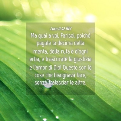 Picture 04 - Luca 11:42 RIV - Ma guai a voi, Farisei, poiché pagate la decima - Bible Verse Picture