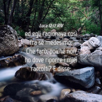 Picture 04 - Luca 12:17 RIV - ed egli ragionava così fra sé medesimo: Che - Bible Verse Picture