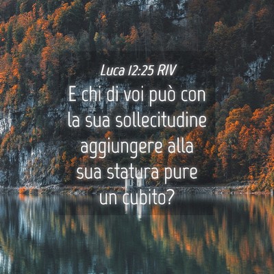 Picture 04 - Luca 12:25 RIV - E chi di voi può con la sua sollecitudine - Bible Verse Picture